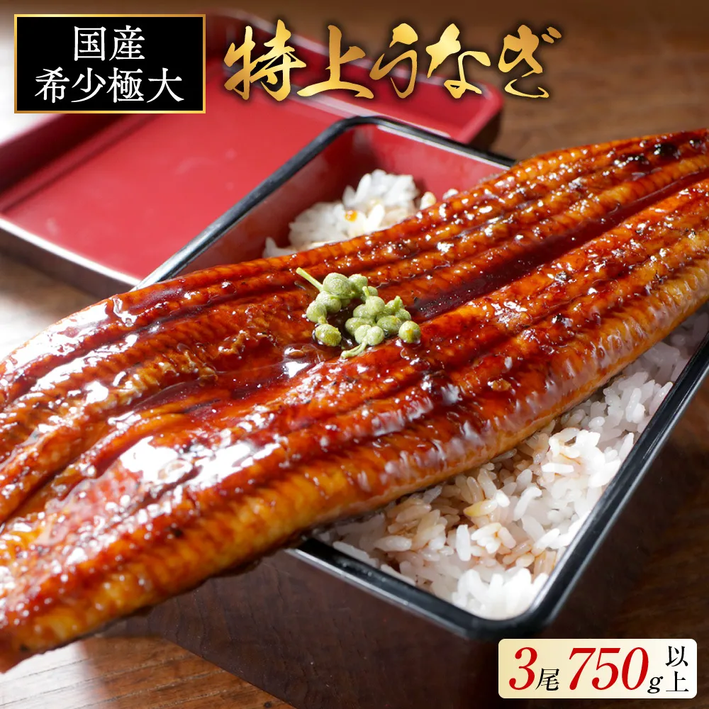 国産 希少 極大 特上うなぎ(250g×3尾)