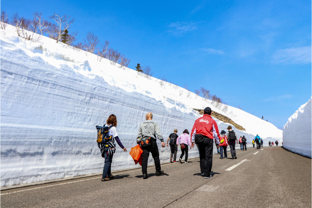 羅臼町の春の風物詩「知床らうす雪壁ウォーク」開催！