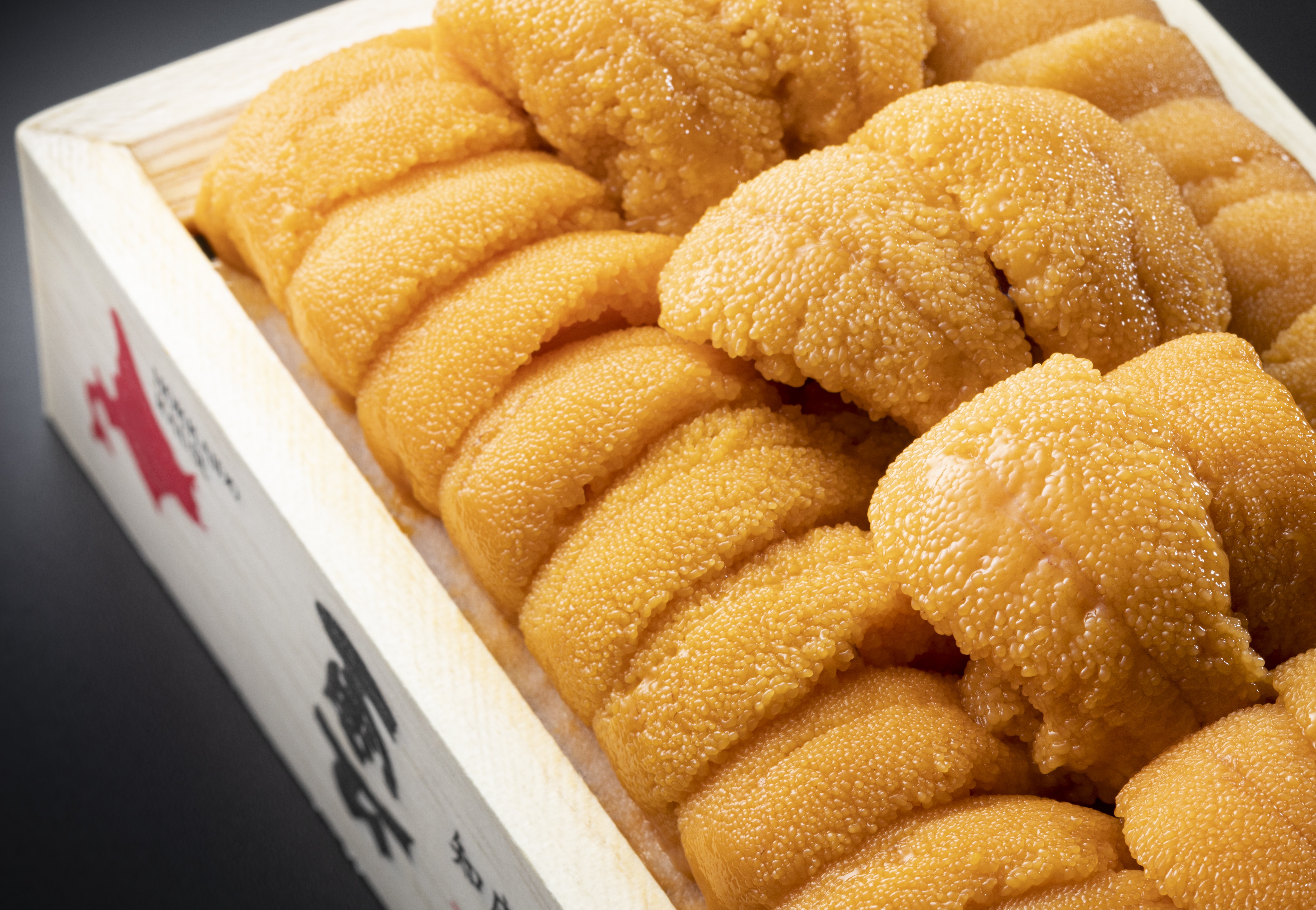 1月〜6月羅臼町の冬から春の味覚「ウニ漁」のシーズン！