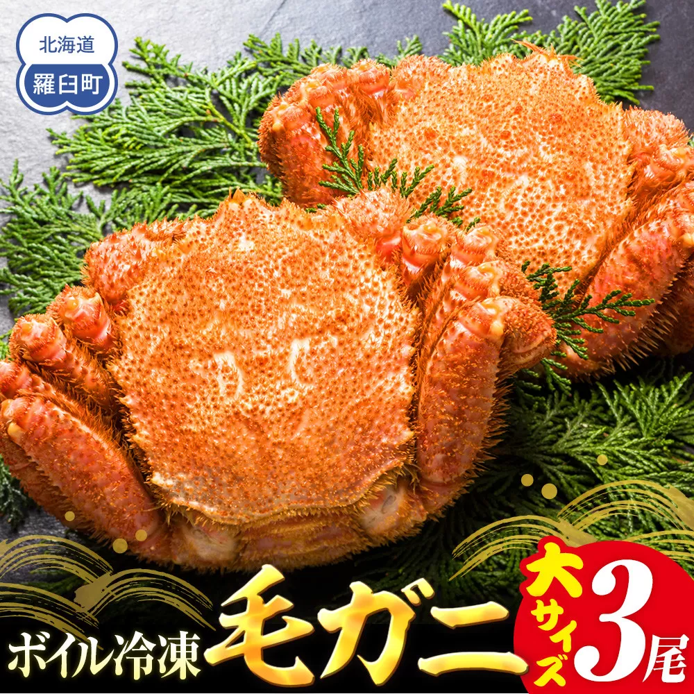【先行予約/2026年4月発送開始】2026年産　ボイル冷凍毛ガニ　大３尾（600～650g）