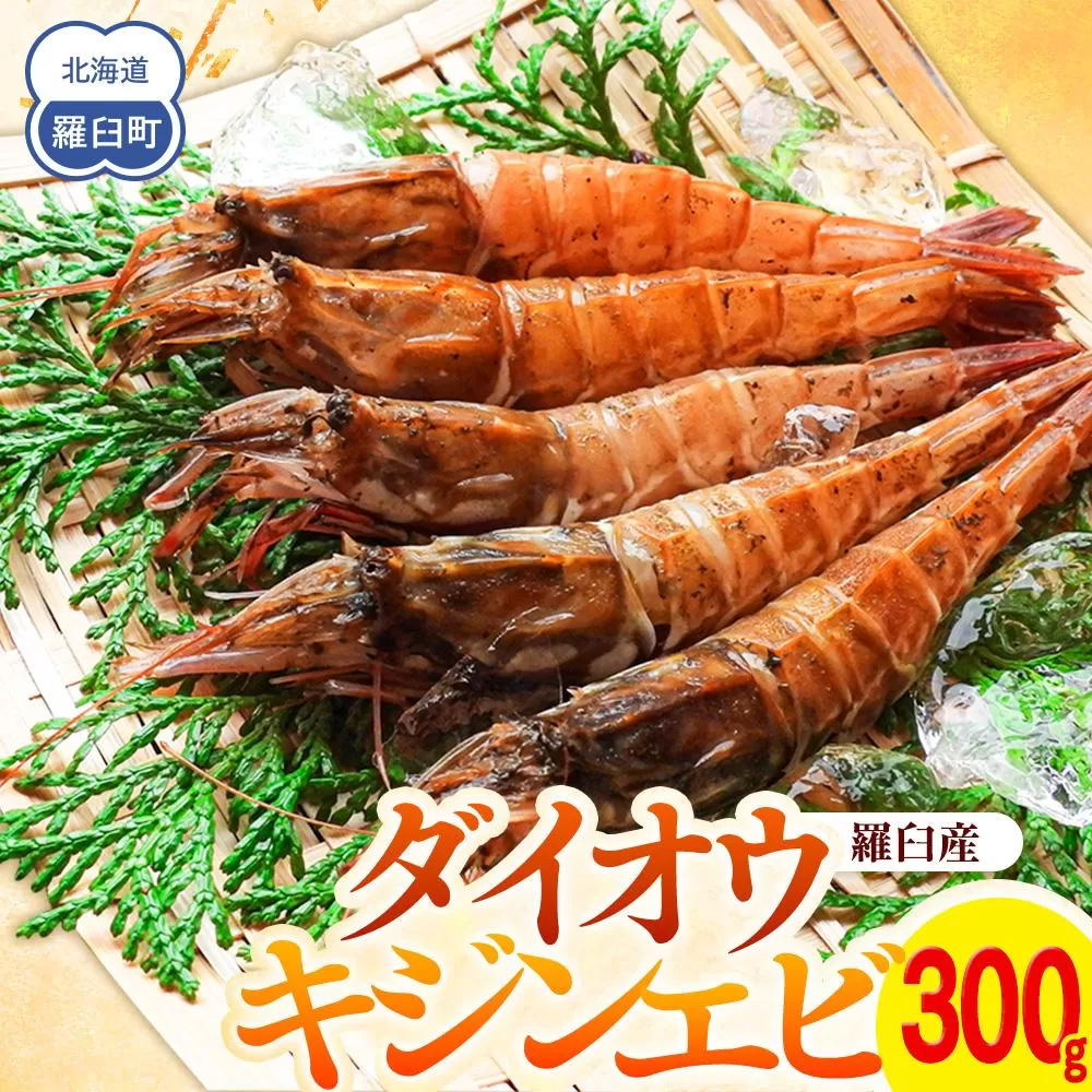 ダイオウキジンエビ(ガサエビ) 300g えび エビ 海老  魚介 魚介類 北海道 羅臼町 海産物 冷凍 刺身 フライ 生産者 支援 応援