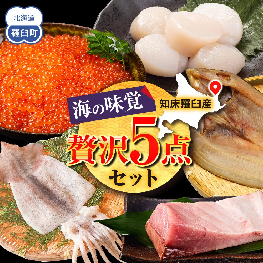 北海道知床羅臼産 海の味覚贅沢 5 種セット 開きほっけ イカ一夜干し 冷凍ほたて ブリ刺身柵 正油いくら 魚 海産物 魚介 魚介類 生産者 支援 応援