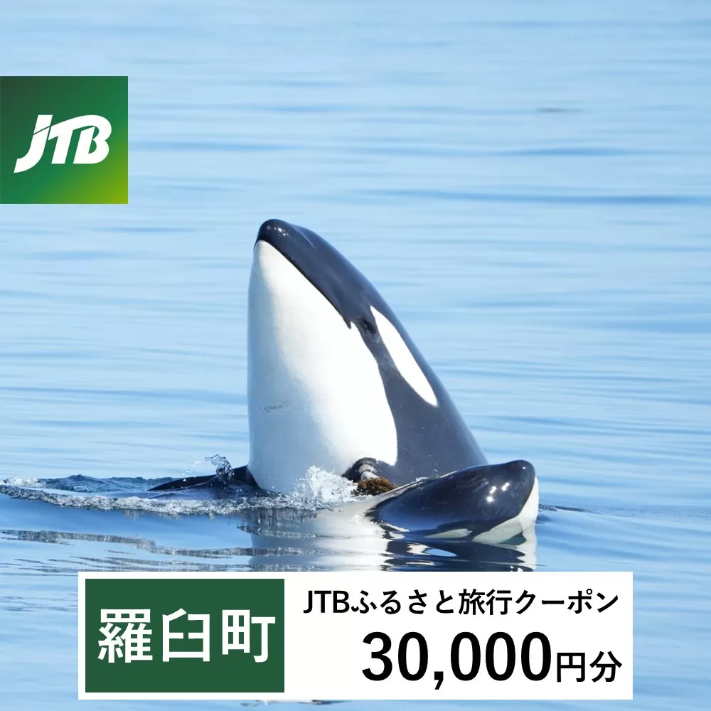 【羅臼町】JTBふるさと旅行クーポン（30,000円分）有効期間3年（Eメール発行）｜旅行 トラベル 予約 国内旅行 JTB 宿泊 観光 体験 旅行券 宿泊券 旅行予約  ホテル 旅館 チケット 子供 子連れ カップル 家族 人気 おすすめ 旅行クーポン 店頭 オンライン ネット予約 電話 有効期間3年