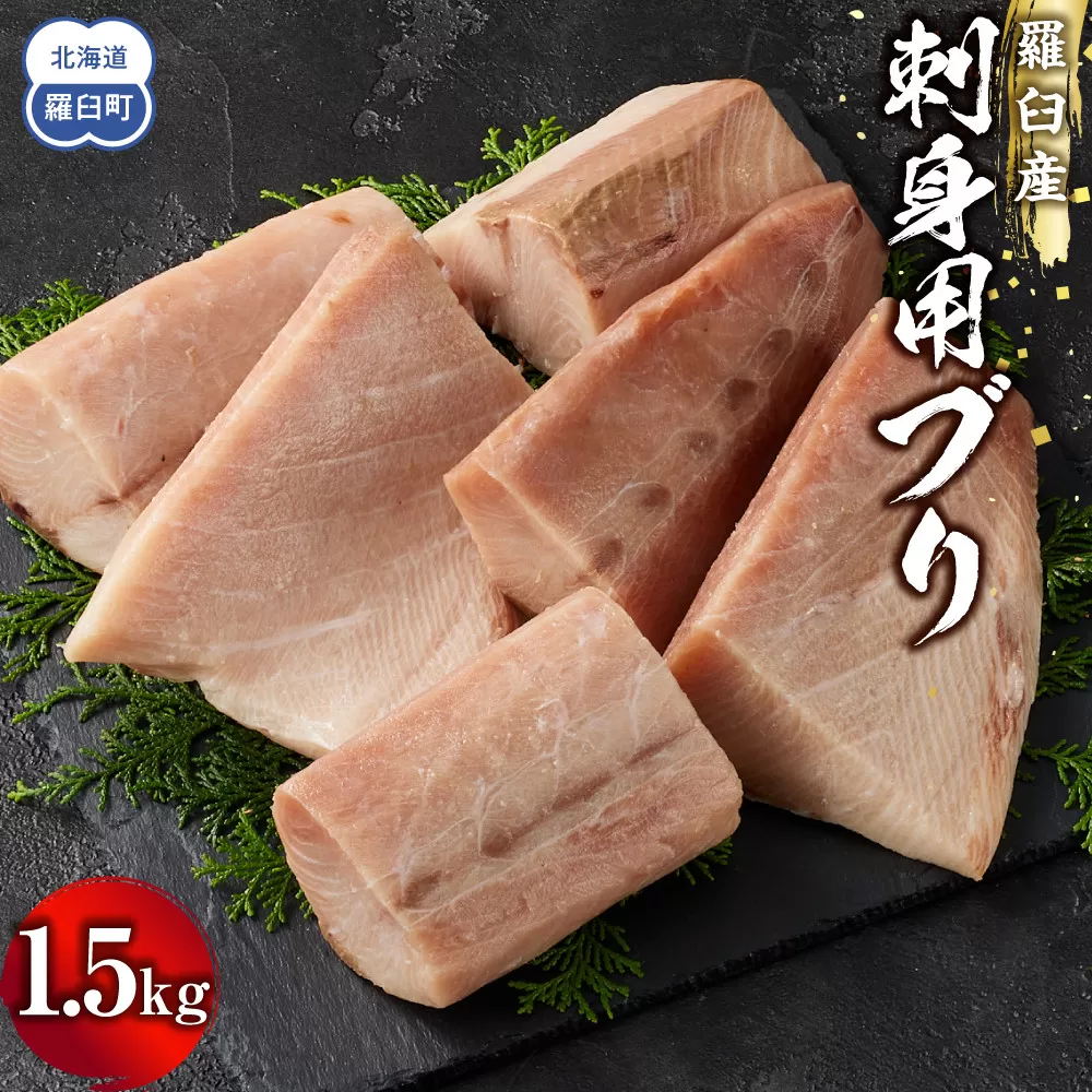 羅臼産刺身用ブリ　1.5kg