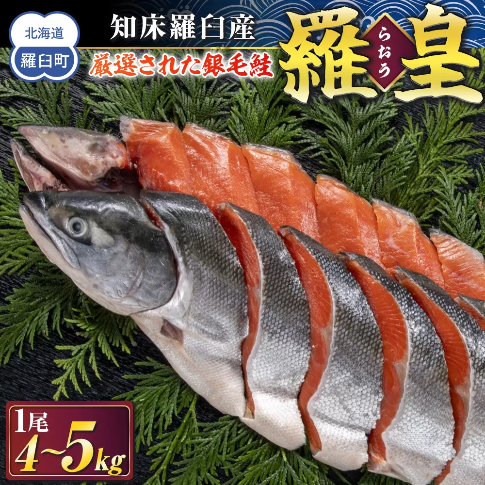 知床羅臼産 鮭 羅皇（らおう）4～5kg 生産者 支援 応援