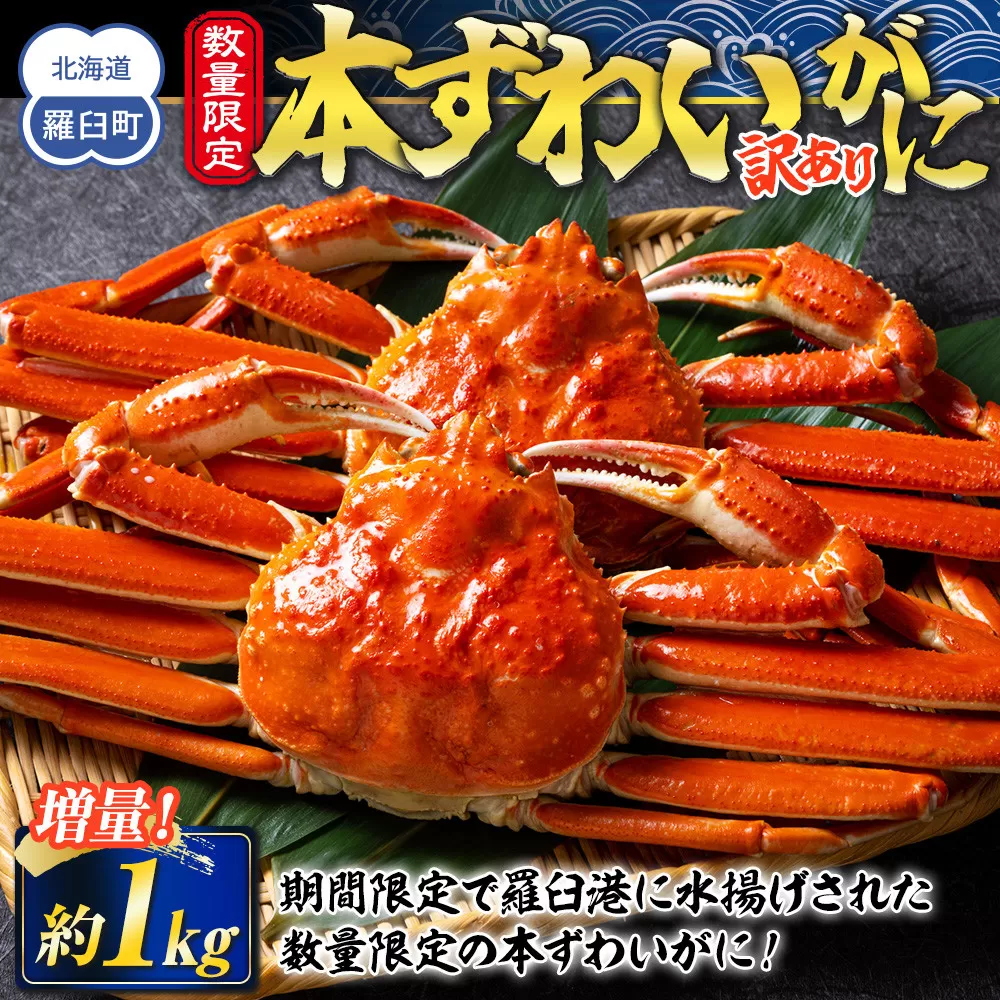 羅臼港本ずわいがに 数量限定 増量1kg ズワイガニ かに カニ 蟹 羅臼町 北海道 魚介 生産者 支援 応援