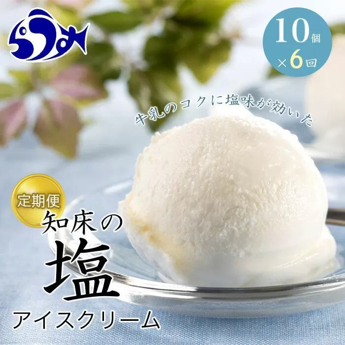 年6回！北海道 知床羅臼（らうす）の塩アイスクリーム定期便 知床 しれとこ 羅臼 らうす 北海道 世界自然遺産 送料無料 人気 海洋深層水 塩 スイーツ スウィーツ クリスマス バニラ お菓子 家族 アイス 生産者 支援 応