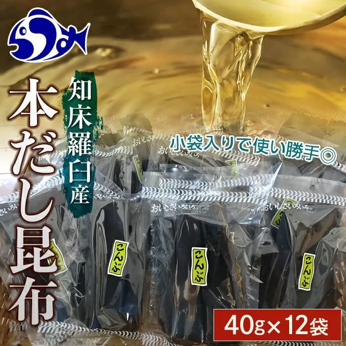 羅臼昆布だし用小分け昆布12袋セット(40g×12袋)北海道　知床　羅臼産　生産者 支援 応援