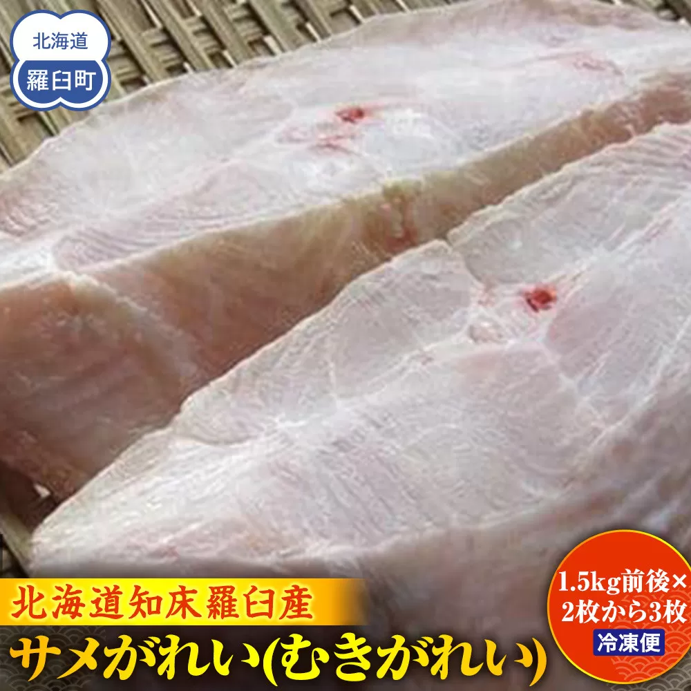 サメがれい(むきがれい) 生産者 支援 応援