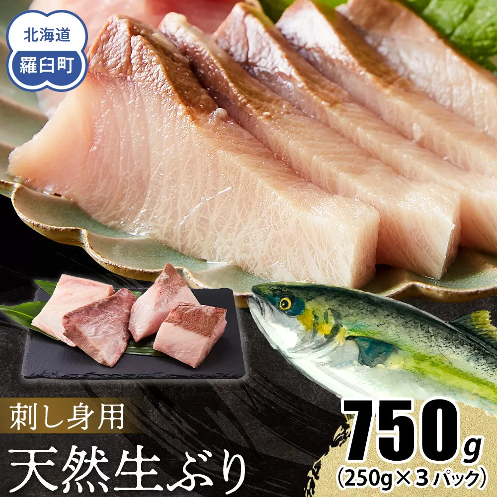 【2026年3月発送】北海道 知床羅臼産 天然ぶり刺身 750g（250g ×3パック） 魚 海産物 魚介 魚介類 ブリ 鰤 刺身 ご飯のお供 冷凍 生産者 支援 応援