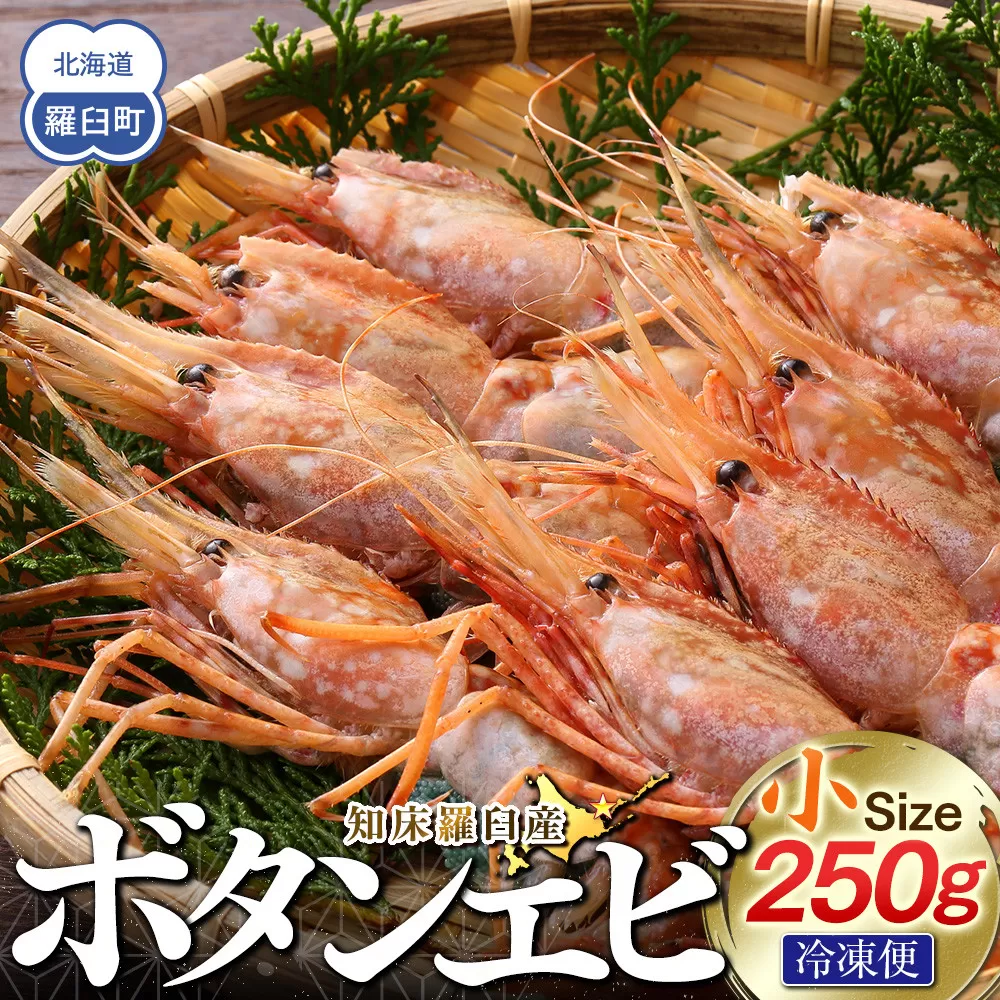 知床羅臼ボタンエビ(小) 250g 生産者 支援 応援