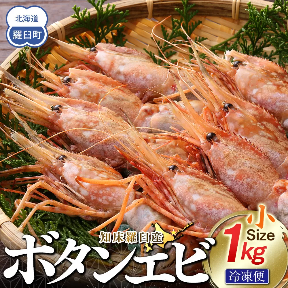 知床羅臼ボタンエビ(小) 1kg えび 海老 羅臼町 北海道 魚介 海産物 刺身 海鮮丼 天ぷら 冷凍 生産者 支援 応援
