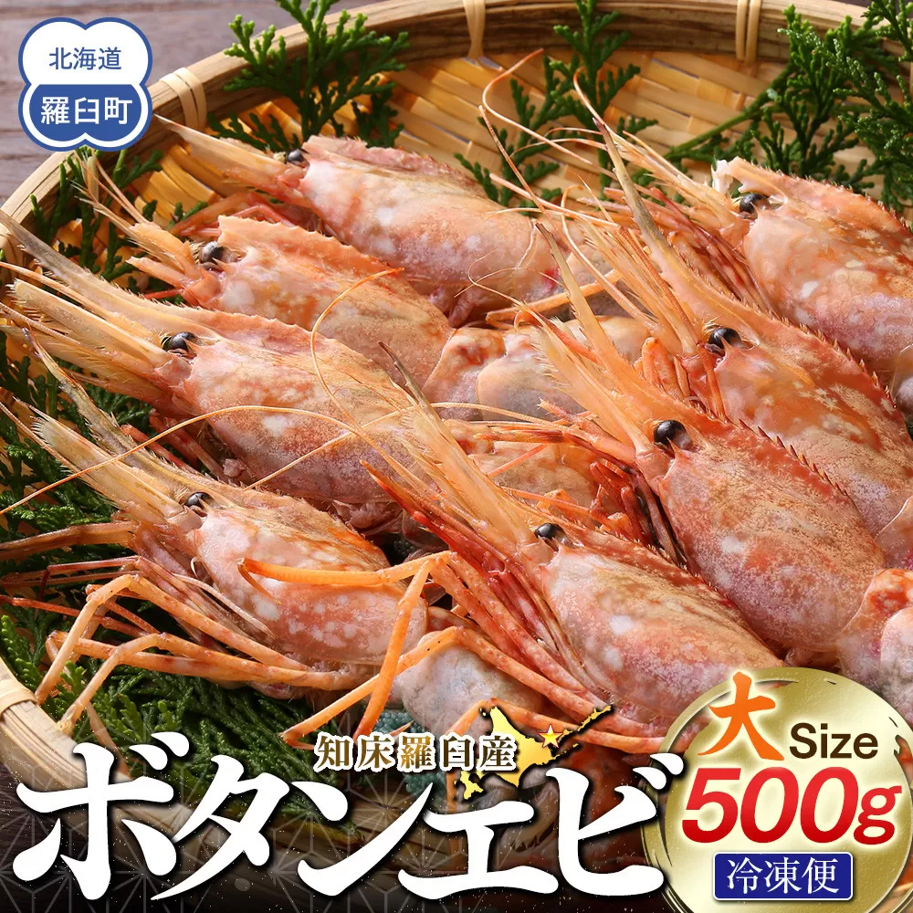 知床羅臼ボタンエビ(大) 500g 生産者 支援 応援