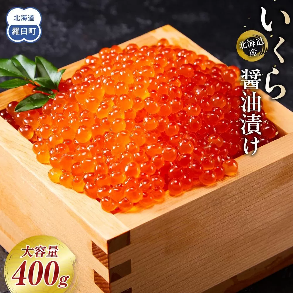 【12月発送】北海道産 いくら（鮭卵）醤油漬け 大容量400g(200g×2パック) 国産 小分けパック イクラ 海鮮丼 ギフト 贈り物 魚介類 魚介 海産物 鮭 シャケ しゃけ 生産者 支援 応援