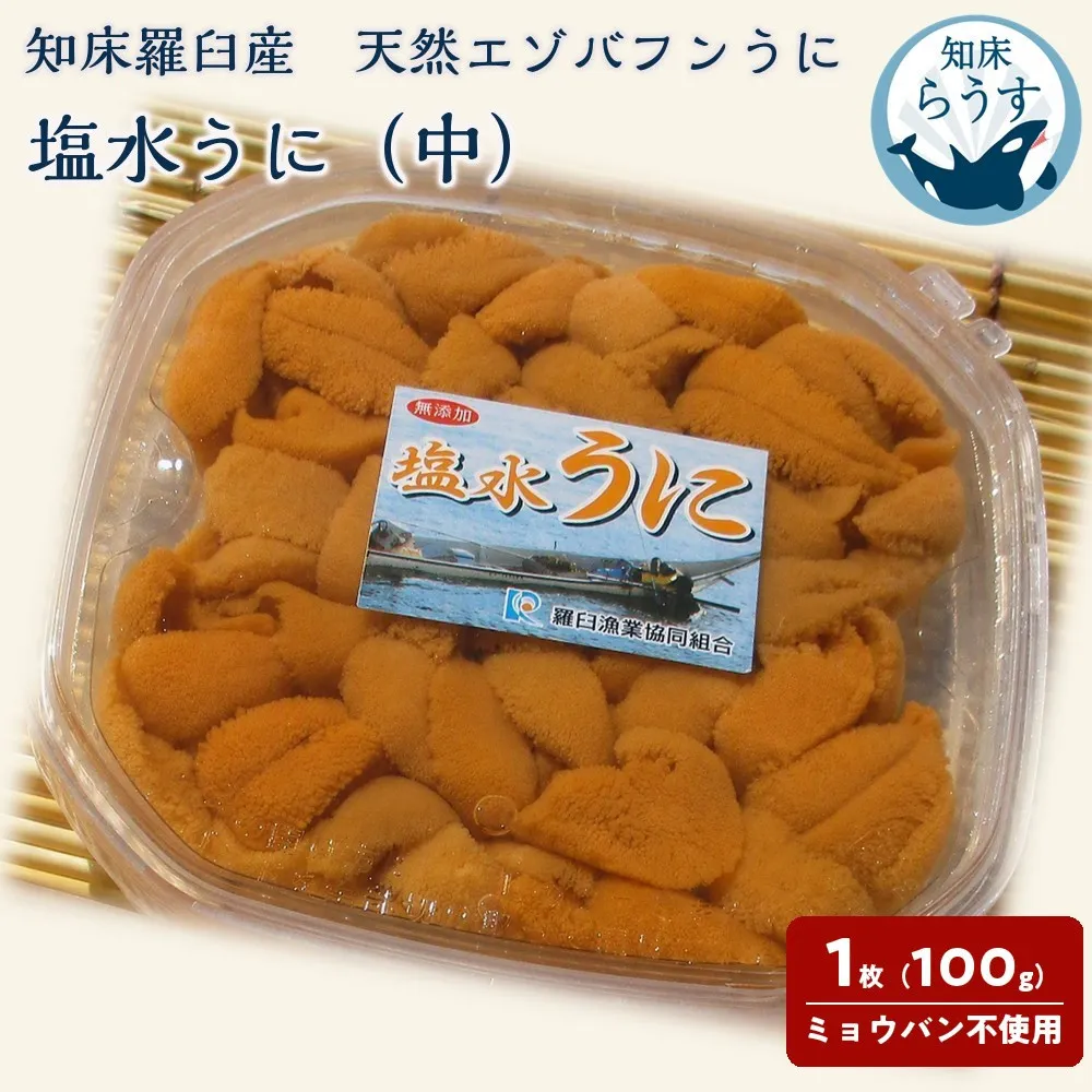 ＜先行受付＞＜27年1月～6月内発送＞天然 エゾバフンうに （中）塩水うに 100g （100g×1枚）ミョウバン不使用 北海道産 知床羅臼産
