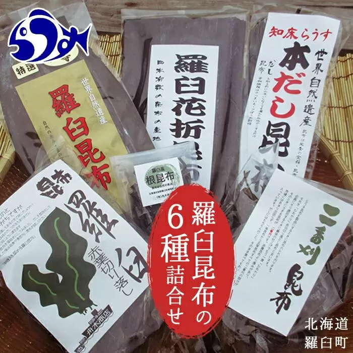 羅臼昆布６種詰め合わせセット「羅臼昆布の仲間達」北海道 知床 羅臼産 生産者 支援 応援