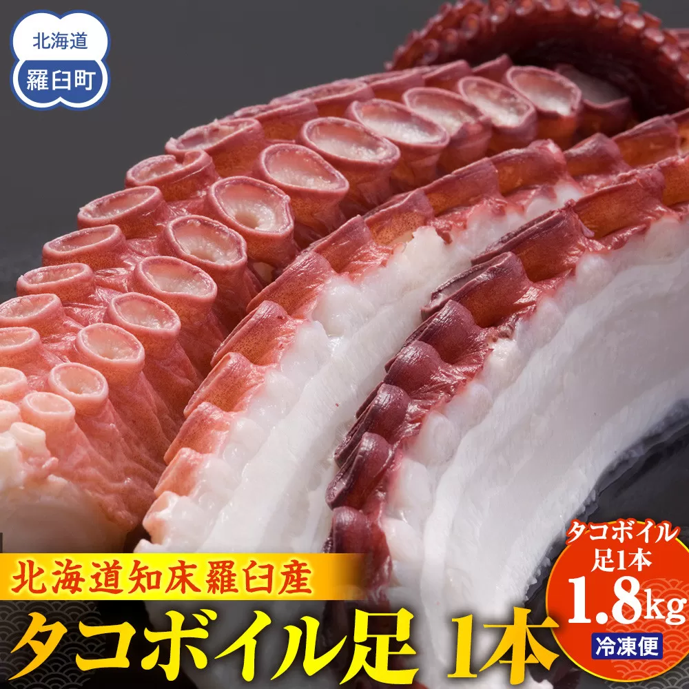 こんなでっかいタコみたことない(ボイル足1本) 北海道 海産物 魚介類 魚介 生産者 支援 応援