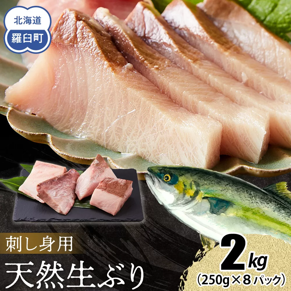 【2026年3月発送】北海道 知床羅臼産 天然ぶり刺身 2kg (250g×8パック) 魚 海産物 魚介 魚介類 ブリ 鰤 刺身 ご飯のお供 冷凍 生産者 支援 応援