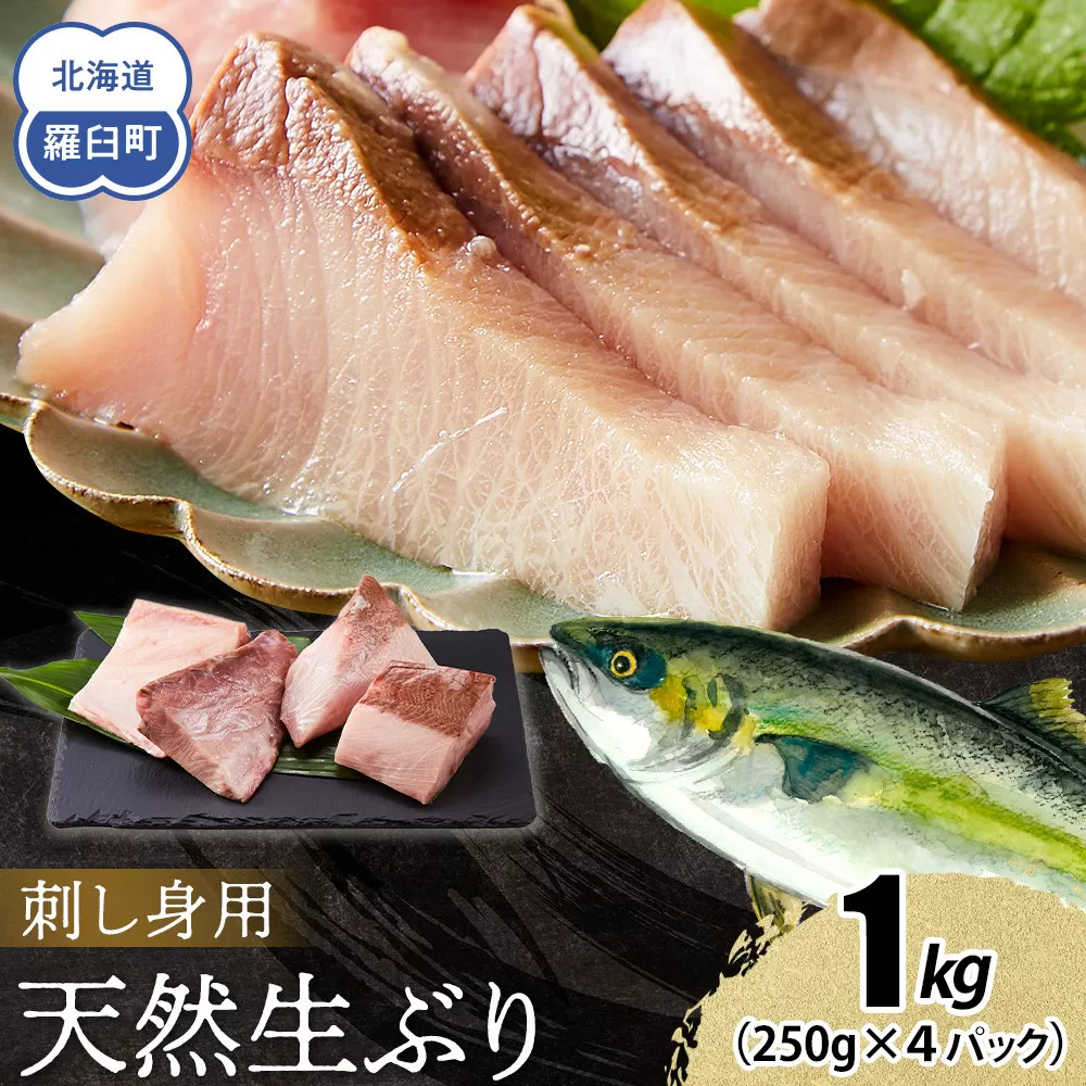 【2025年11月発送】北海道 知床羅臼産 天然ぶり刺身 1kg (250g×4パック) 魚 海産物 魚介 魚介類 ブリ 鰤 刺身 ご飯のお供 冷凍 生産者 支援 応援