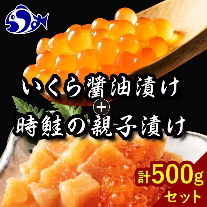 【2024年11月発送】知床羅臼産 時鮭（ときしらず）の親子漬け・醤油いくらセット（計500g）イクラ しょうゆ漬け 秋サケ さけ 海鮮 魚介 北海道 詰め合わせ 生産者 支援 応援