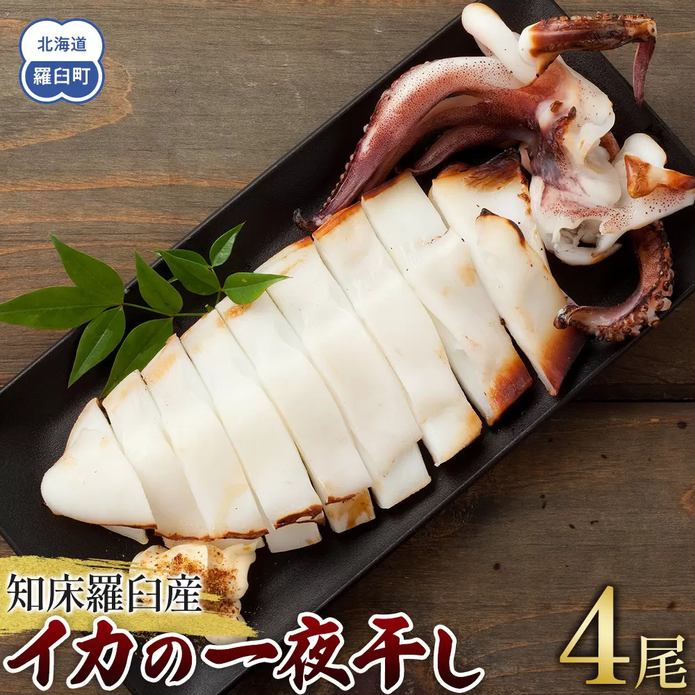 数量限定 渋谷さん家の知床羅臼産 イカの一夜干し 中サイズ 4尾（200g前後×4パック） 生産者 支援 応援