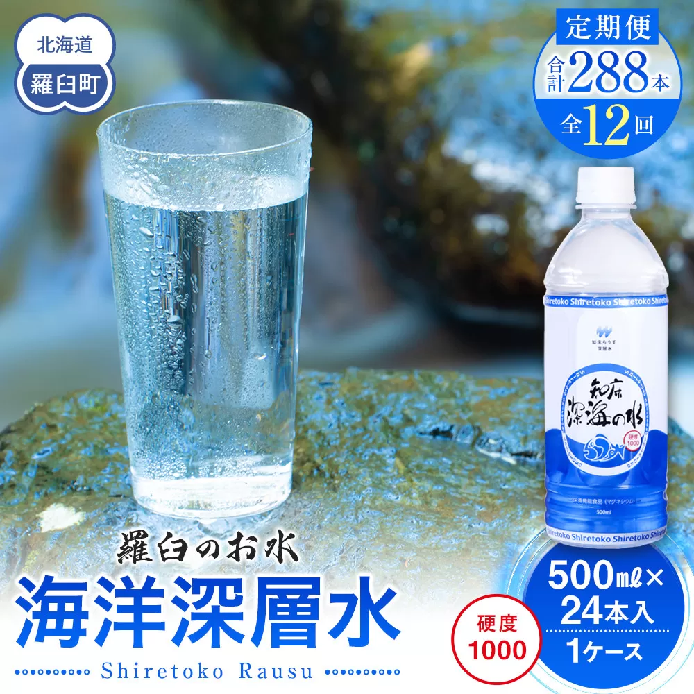 年12回！北海道 羅臼（らうす）のお水 海洋深層水500ml×24本定期便  知床 世界自然遺産 国産 備蓄 常備水 ペットボトル ミネラル 清涼飲料水 生産者 支援 応