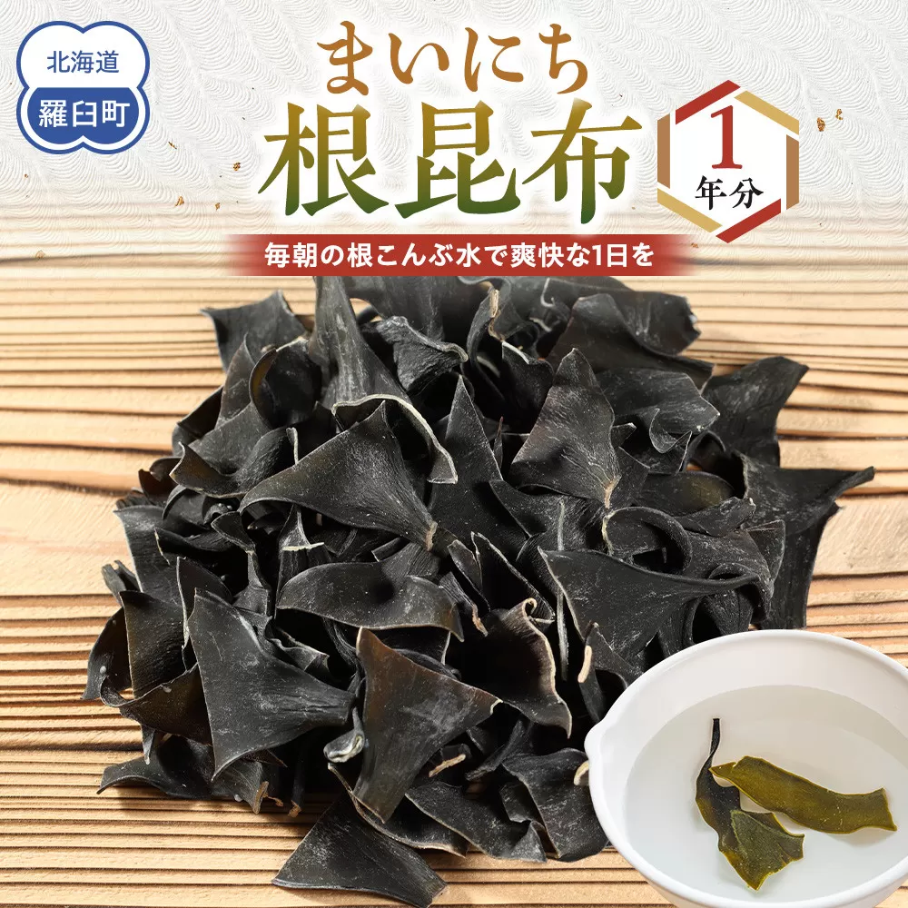 まいにち根こんぶ 1年分 生産者 支援 応援