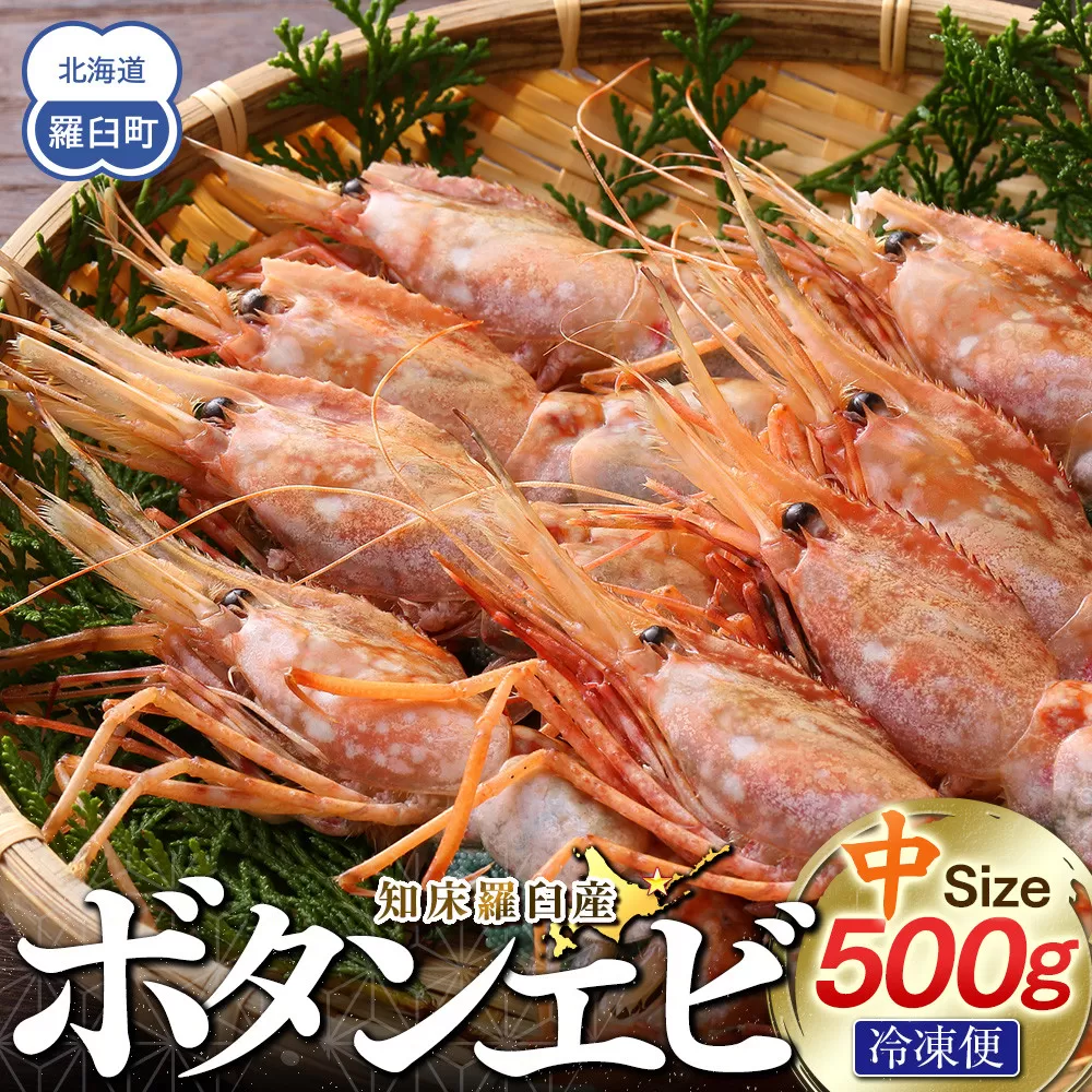 知床羅臼ボタンエビ(中) 500g 生産者 支援 応援