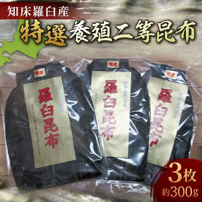 羅臼昆布 養殖 2等 約300gセット(100g×3個) 北海道 知床 羅臼産 生産者 支援 応援