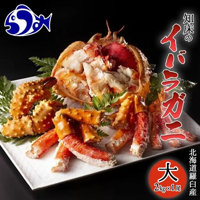 知床イバラがに 姿(大) いばらがに かに カニ 蟹  羅臼町 北海道産 海産物 生産者 支援 応援