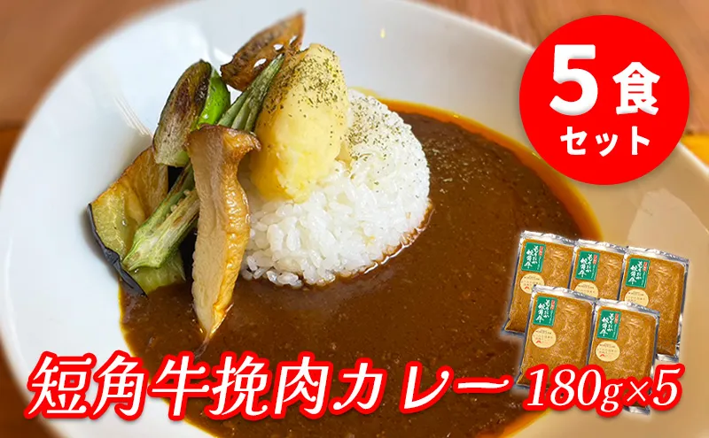 もりおか短角牛 ひき肉カレー 5食 セット ブランド和牛 大人のカレー カレー 牛カレー カレーライス ひき肉 お店の味 惣菜 おかず 夕食 ごはん 家族 お手軽 簡単調理 挽肉 curry かれー 小分け 個包装 岩手県 盛岡 パイオニアファーム 有限会社トゥレイス
