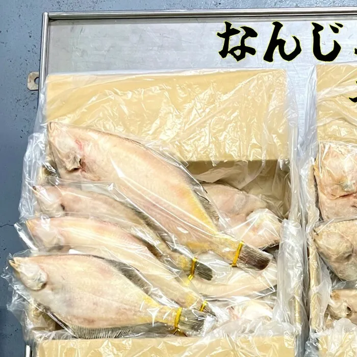 【宮古市】なんじゃもんじゃ訳あり未利用魚かれい2kgセット
