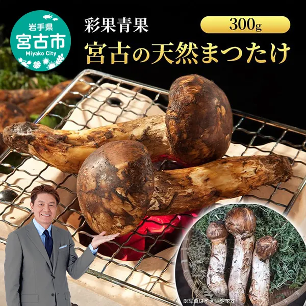 宮古の天然まつたけ300g 宮古産 まつたけ 天然まつたけ きのこ 野菜 贈答用 木箱