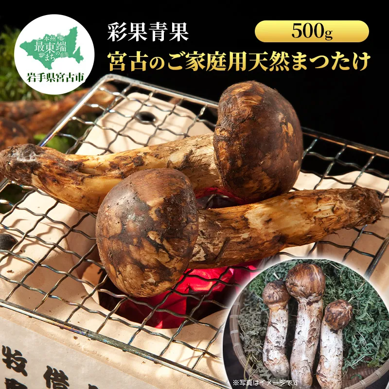 宮古のご家庭用天然まつたけ500ｇ 宮古産 まつたけ 天然まつたけ きのこ 野菜 家庭用