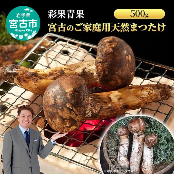 宮古のご家庭用天然まつたけ500ｇ 宮古産 まつたけ 天然まつたけ きのこ 野菜 家庭用