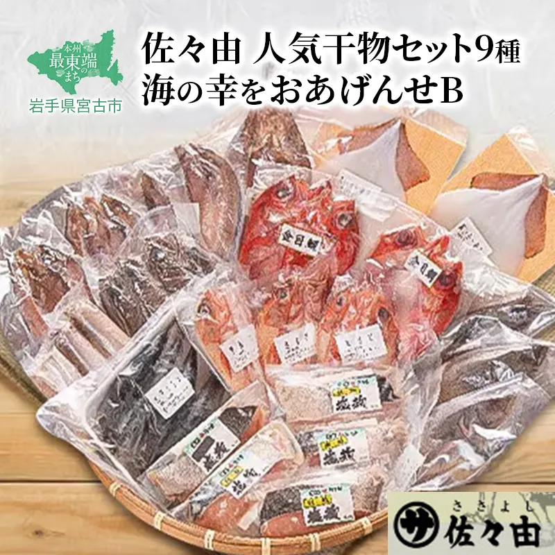 海の幸をおあげんせ B 岩手県宮古市 海の幸 旬の魚 干物 冷凍便