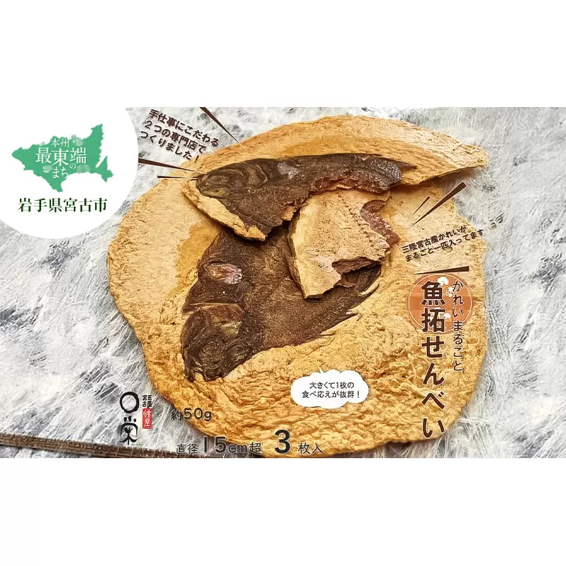 【かれい専門店】宮古で獲れた かれいまるごと魚拓せんべい 直径15cm超 3枚