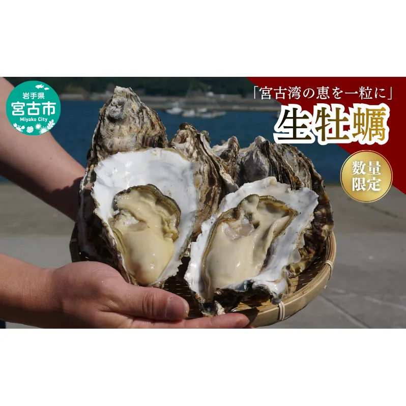 宮古湾産 生牡蠣 加熱用むき身 1パック(400g程度) 牡蠣 加熱用 むき身 訳あり 冷凍 牡蛎 牡蠣 かき カキ 冷蔵