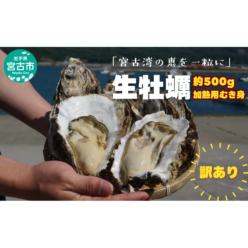 宮古湾産 生牡蠣 訳あり 加熱用むき身 500g 牡蠣 加熱用 むき身 訳あり 冷凍 牡蛎 牡蠣 かき カキ 冷蔵