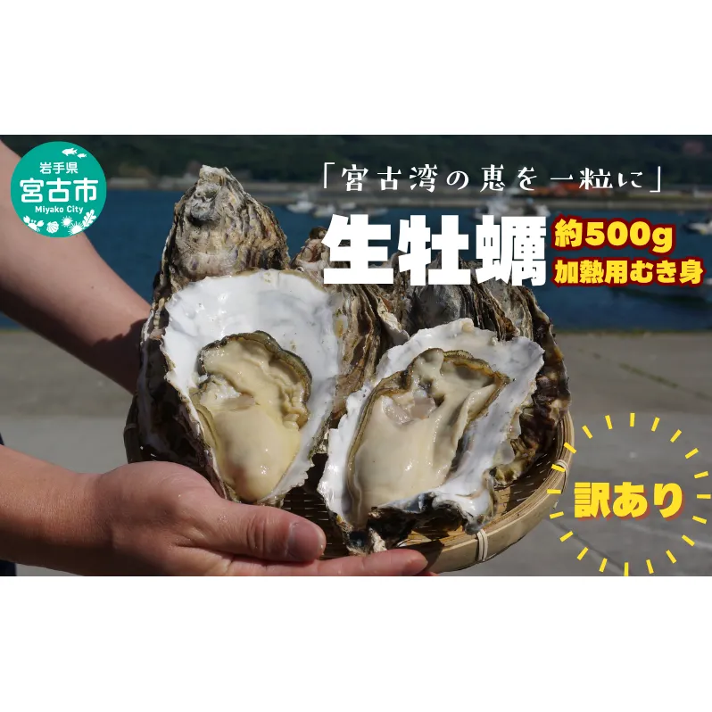 宮古湾産 生牡蠣 訳あり 加熱用むき身 1kg 牡蠣 加熱用 むき身 訳あり 冷凍 牡蛎 牡蠣 かき カキ 冷蔵