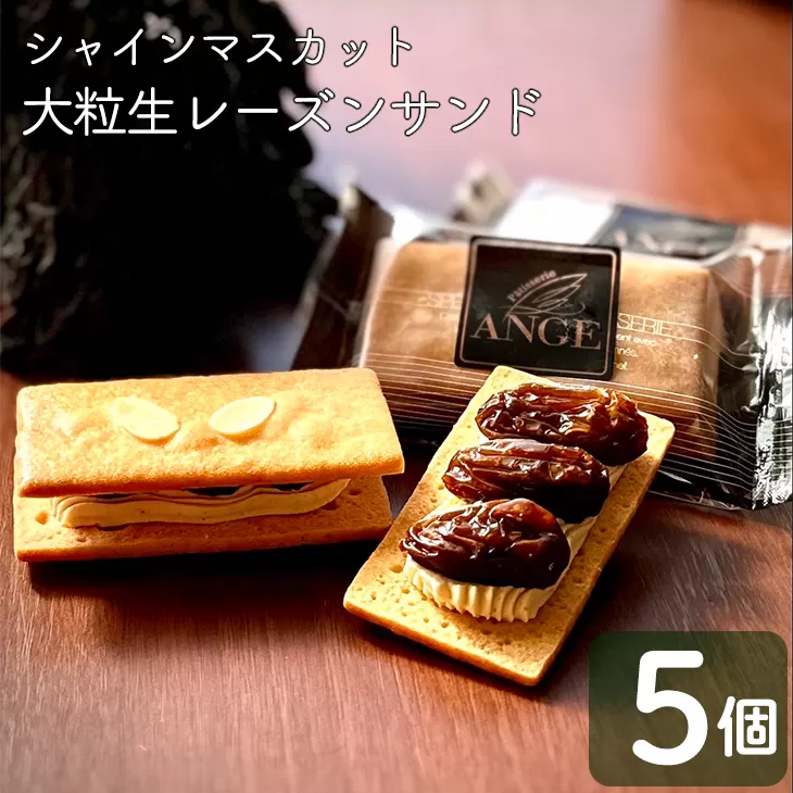 プレミアム大粒生レーズンサンド（シャインマスカット） 【1383】