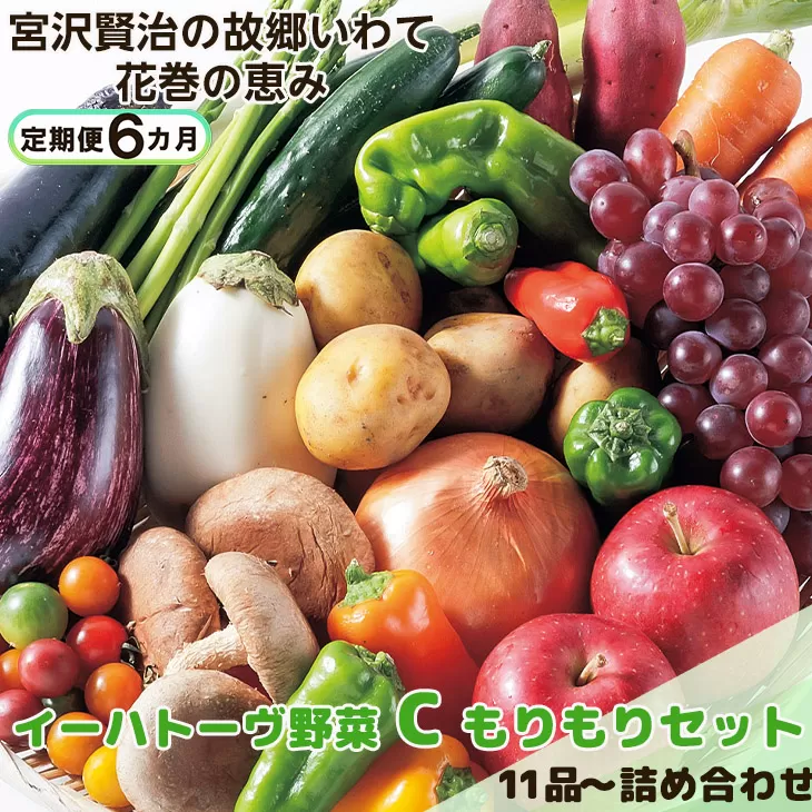 【定期便6ヶ月】イーハトーヴ野菜C もりもりセット 11品～ 詰め合わせ 【1209】