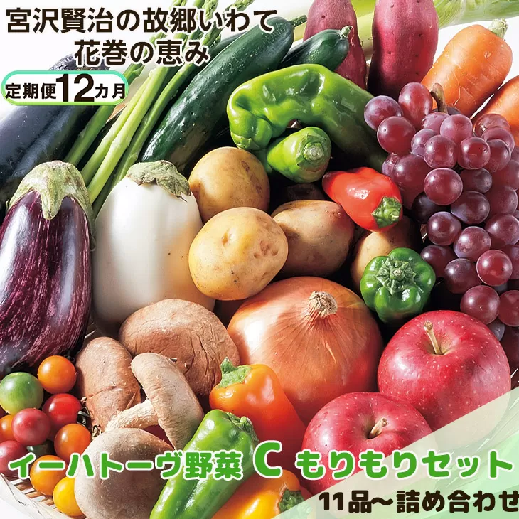 【定期便12ヶ月】イーハトーヴ野菜C もりもりセット 11品～ 詰め合わせ 【1210】