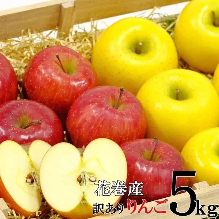 イーハトーヴ 訳アリ りんご 約５ｋｇセット《2026年3月より発送予定/予約受付》 【280-3】