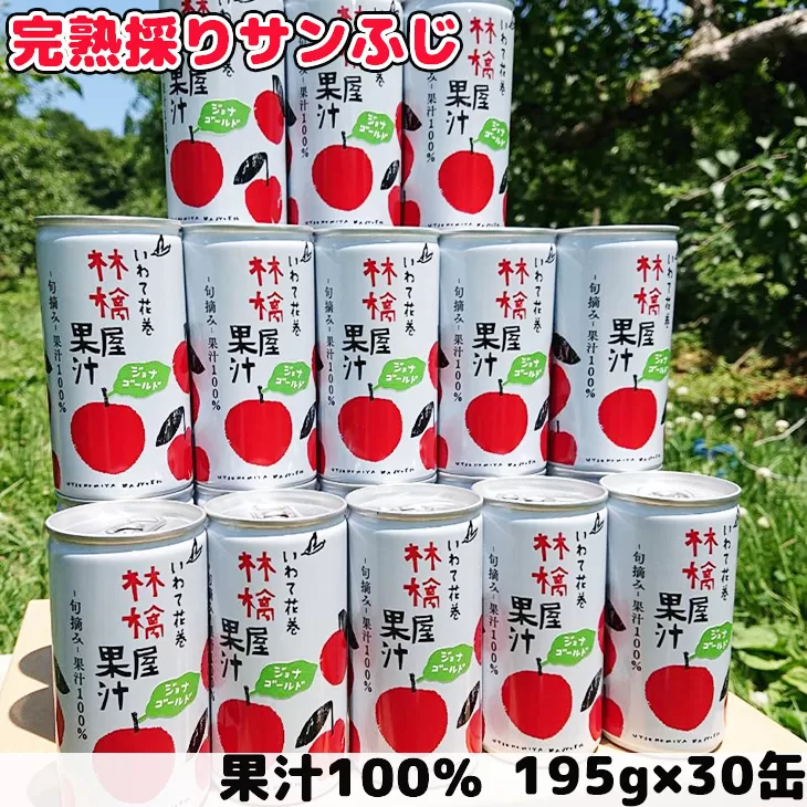 果汁100%！宇津宮果樹園の林檎屋果汁りんごジュース30缶セット 【サンふじ】 【635-1】