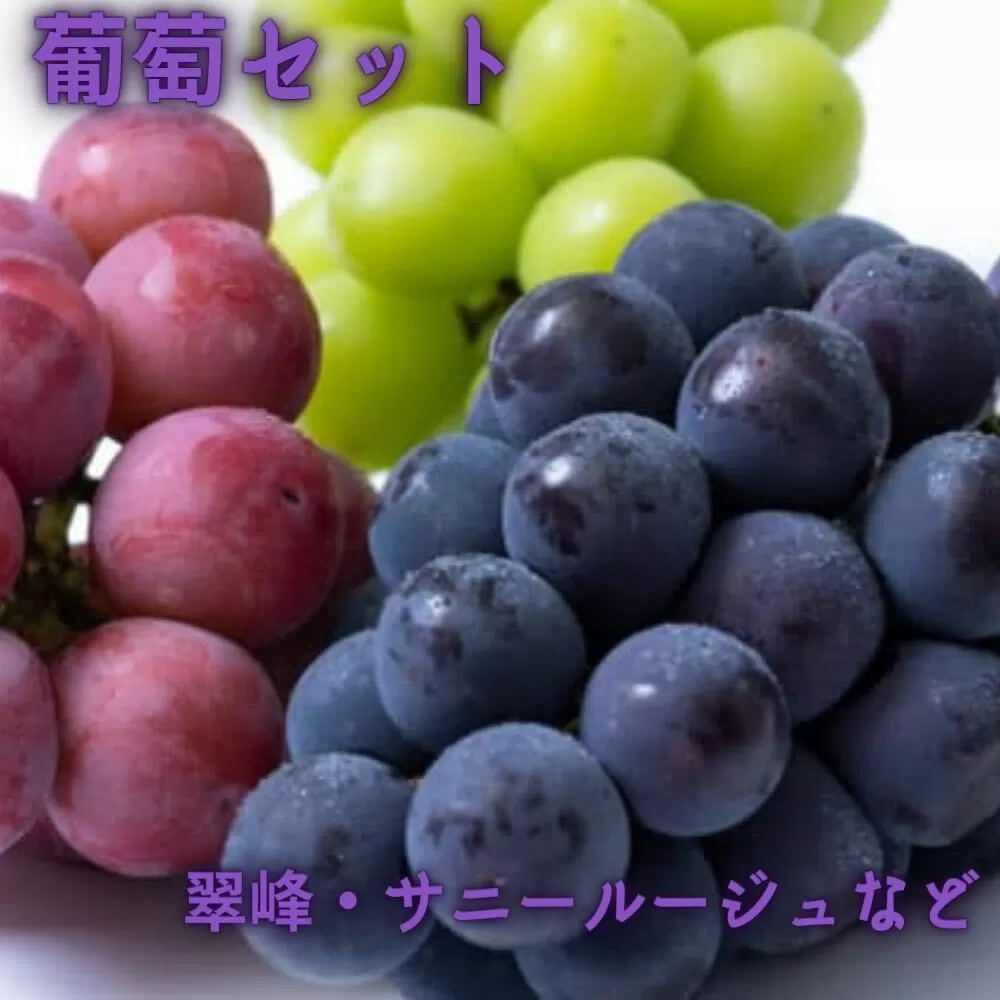 花巻堪能 葡萄セット（2種類以上） 【1022】