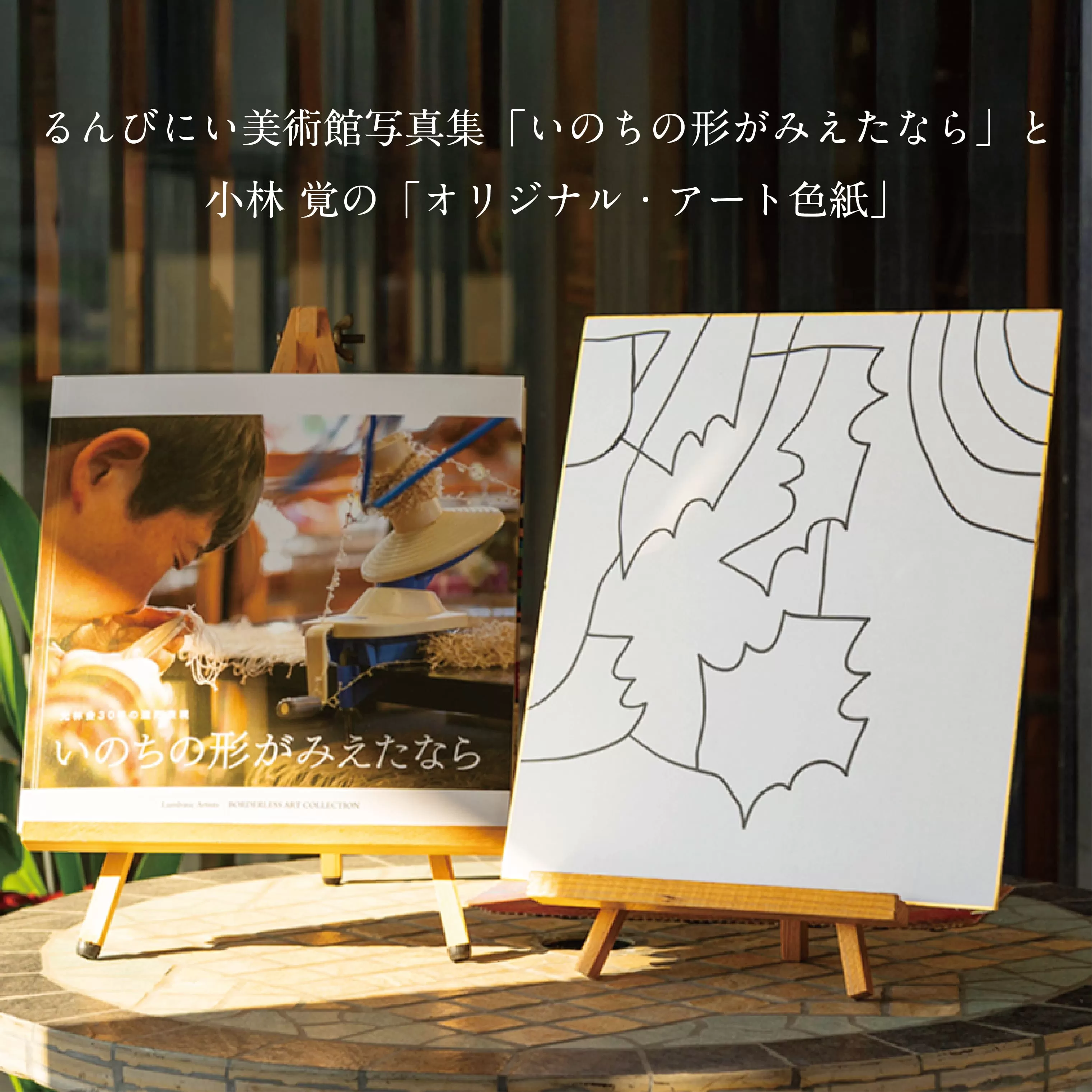 るんびにい美術館写真集「いのちの形がみえたなら」小林覚の「オリジナル・アート色紙」 【2310】