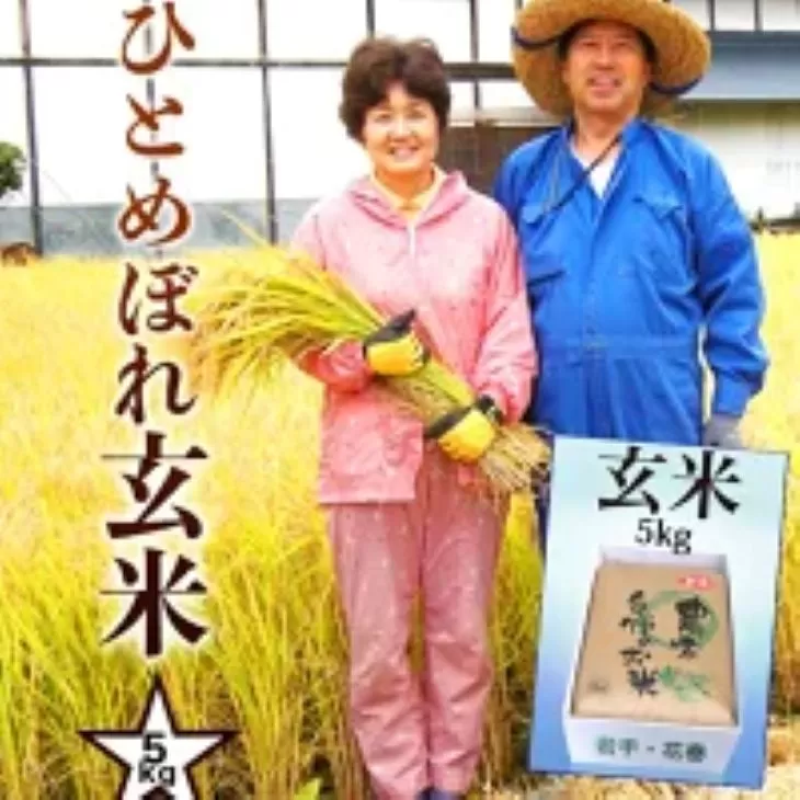 ≪令和7年産≫　減農薬栽培　岩手花巻産ひとめぼれ玄米５kg 【509】