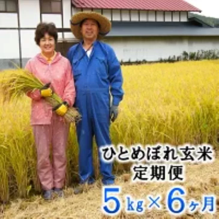 ≪令和7年産≫【6ヶ月定期便】減農薬栽培 ひとめぼれ玄米5kg 【1109】