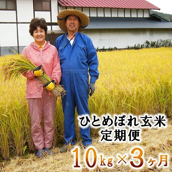 【3ヶ月定期便】減農薬栽培 ひとめぼれ 玄米 10kg(5kgx2袋) 【1111】